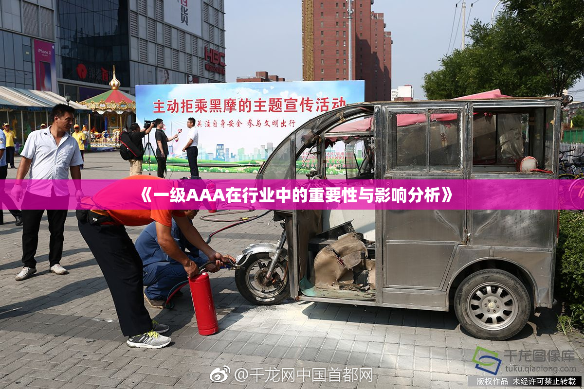 《一级AAA在行业中的重要性与影响分析》