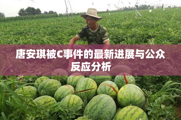 唐安琪被C事件的最新进展与公众反应分析