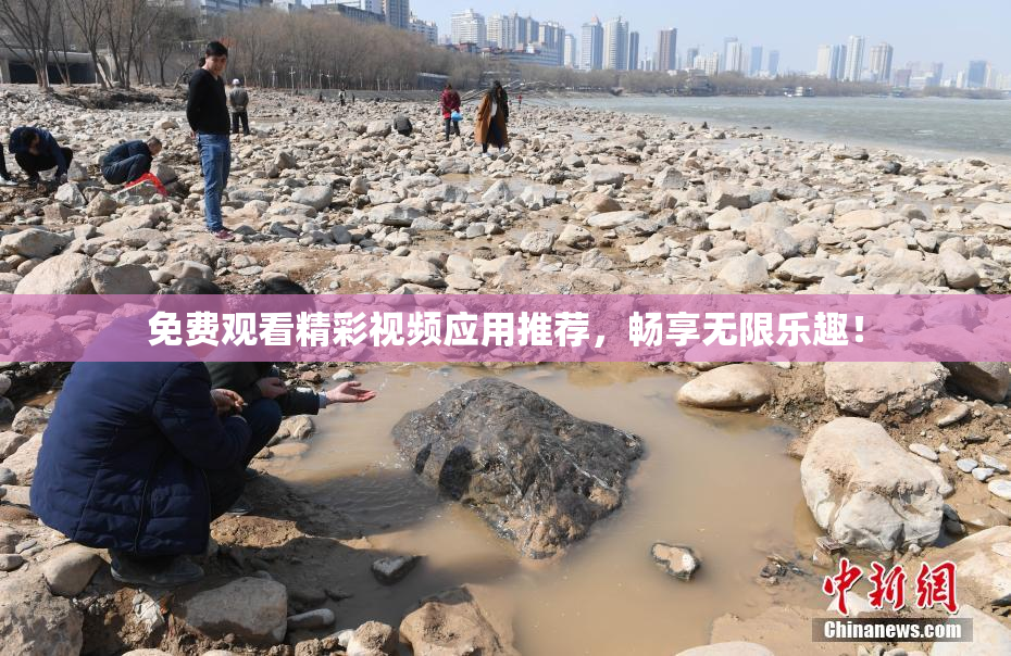 免费观看精彩视频应用推荐，畅享无限乐趣！