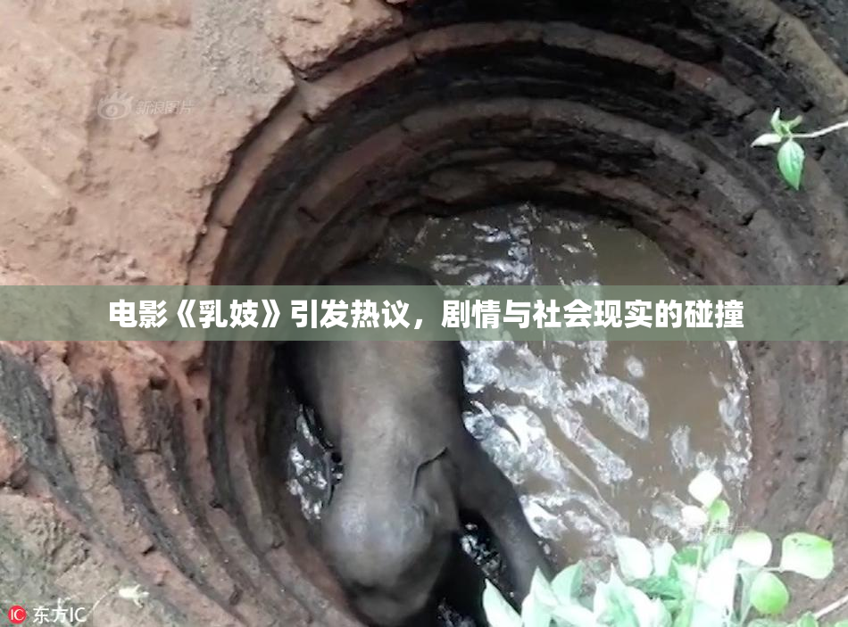 电影《乳妓》引发热议，剧情与社会现实的碰撞