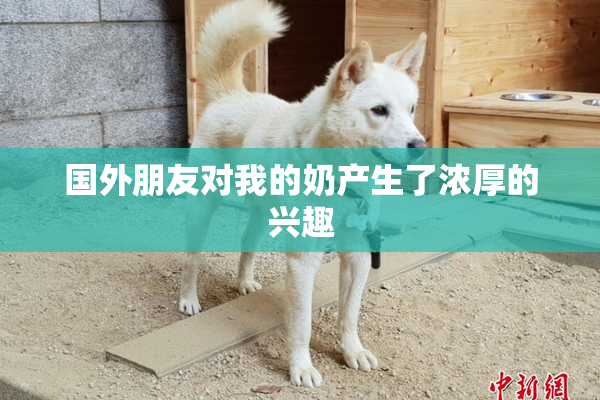 国外朋友对我的奶产生了浓厚的兴趣