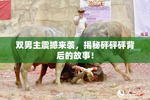 双男主震撼来袭，揭秘砰砰砰背后的故事！