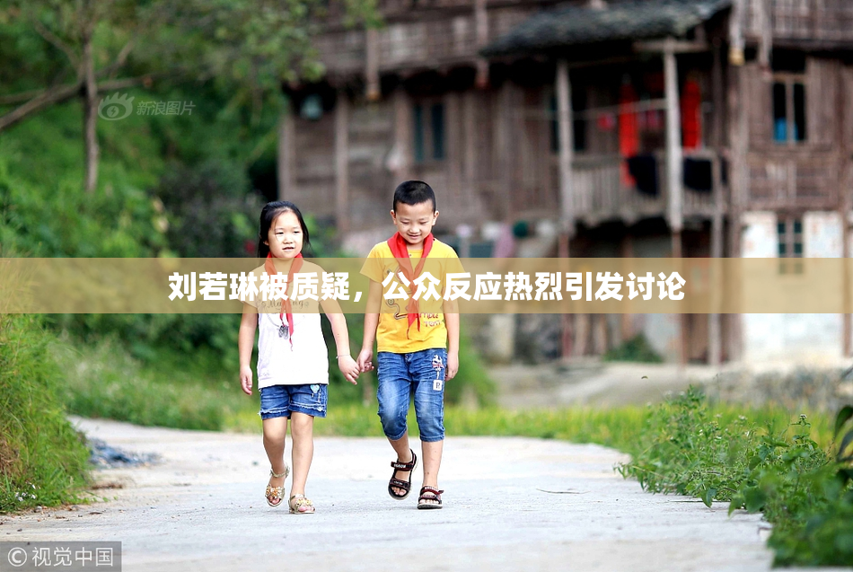 刘若琳被质疑，公众反应热烈引发讨论