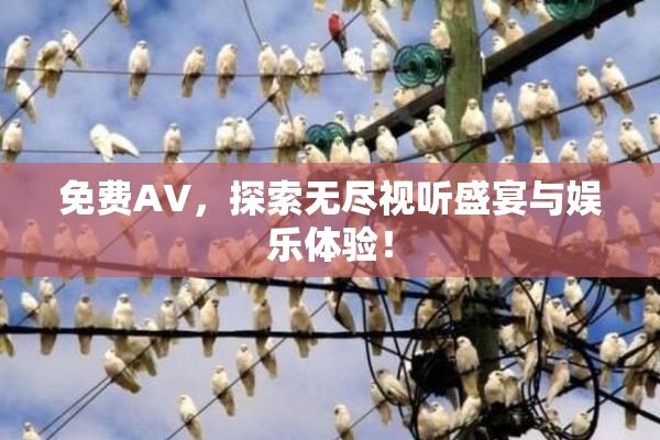 免费AV，探索无尽视听盛宴与娱乐体验！