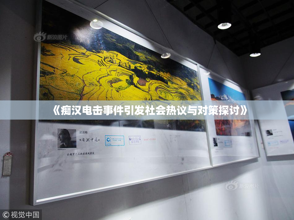 《痴汉电击事件引发社会热议与对策探讨》