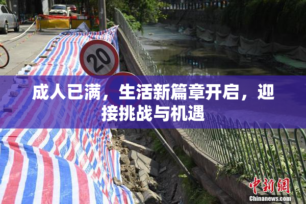成人已满，生活新篇章开启，迎接挑战与机遇