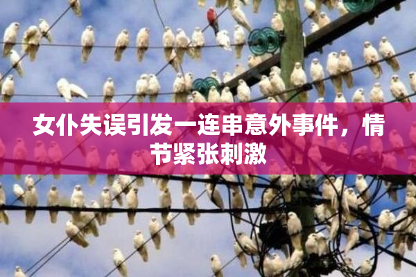 女仆失误引发一连串意外事件，情节紧张刺激