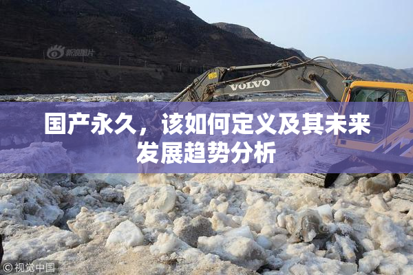 国产永久，该如何定义及其未来发展趋势分析