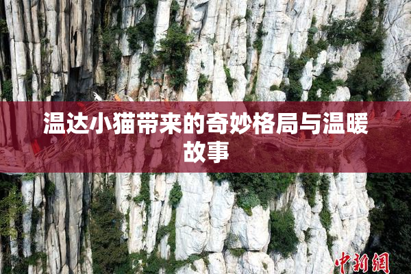 温达小猫带来的奇妙格局与温暖故事