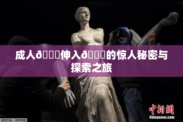 成人🍆伸入🍑的惊人秘密与探索之旅