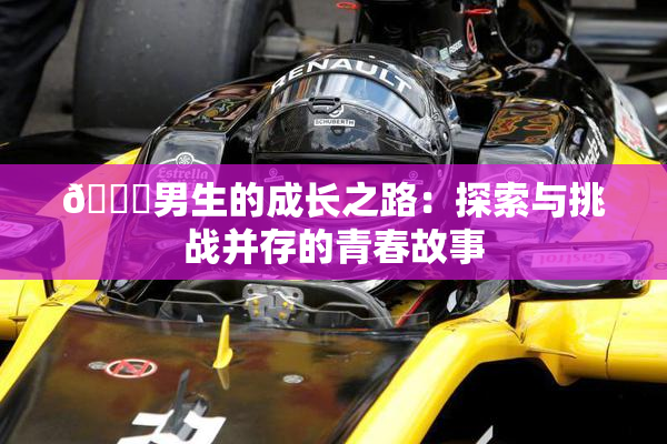 🔞男生的成长之路：探索与挑战并存的青春故事
