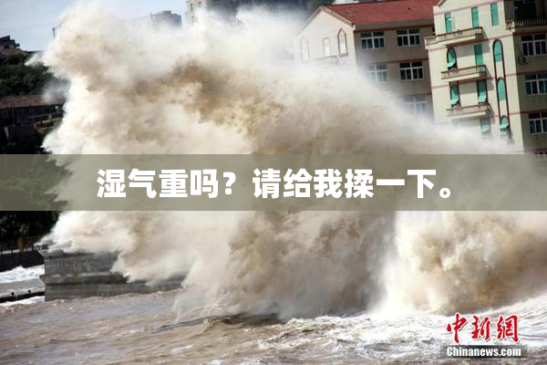 湿气重吗？请给我揉一下。