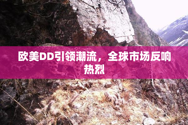 欧美DD引领潮流，全球市场反响热烈