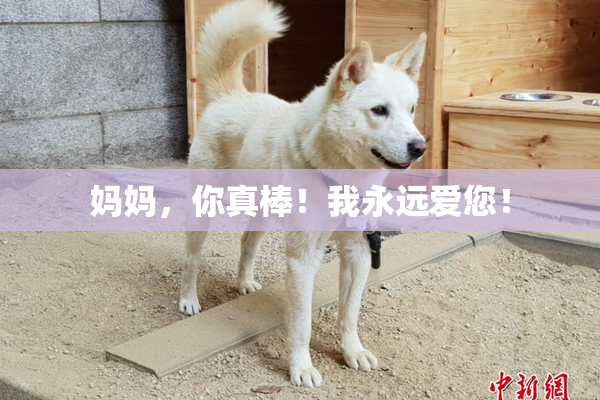 妈妈，你真棒！我永远爱您！