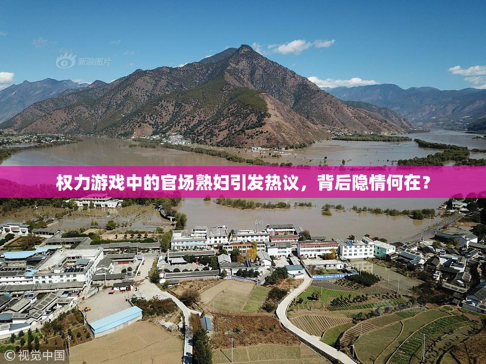 权力游戏中的官场熟妇引发热议，背后隐情何在？