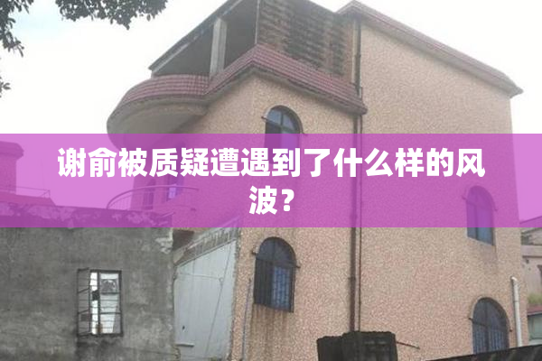 谢俞被质疑遭遇到了什么样的风波？