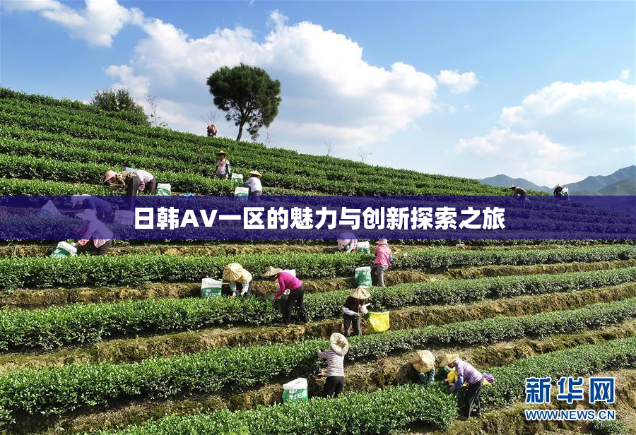 日韩AV一区的魅力与创新探索之旅