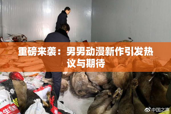 重磅来袭：男男动漫新作引发热议与期待
