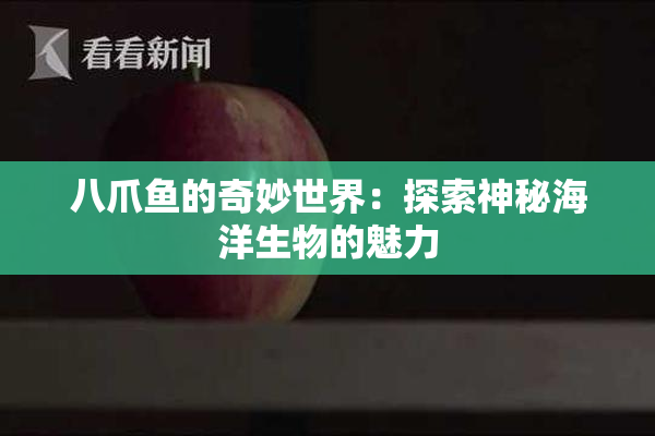 八爪鱼的奇妙世界：探索神秘海洋生物的魅力