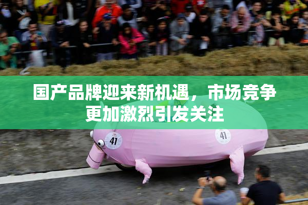 国产品牌迎来新机遇，市场竞争更加激烈引发关注
