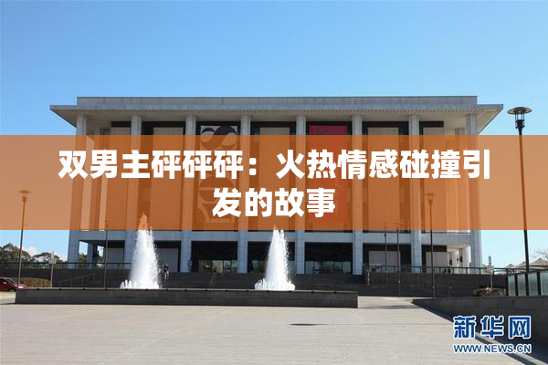 双男主砰砰砰：火热情感碰撞引发的故事