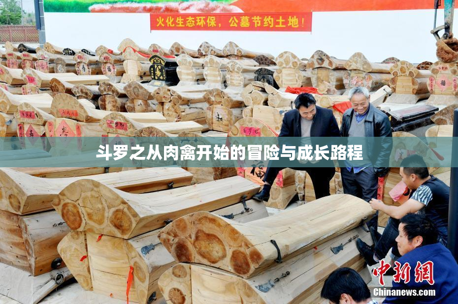 斗罗之从肉禽开始的冒险与成长路程