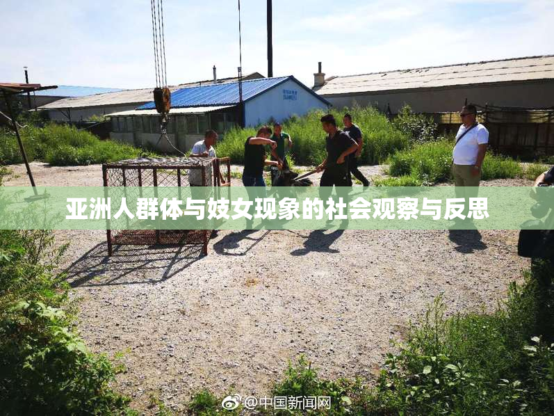 亚洲人群体与妓女现象的社会观察与反思