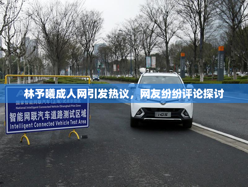 林予曦成人网引发热议，网友纷纷评论探讨