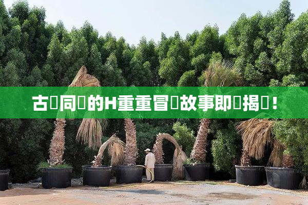 古見同學的H重重冒險故事即將揭曉！