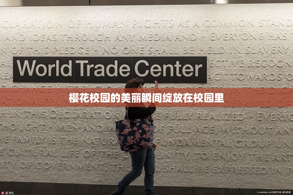 樱花校园的美丽瞬间绽放在校园里