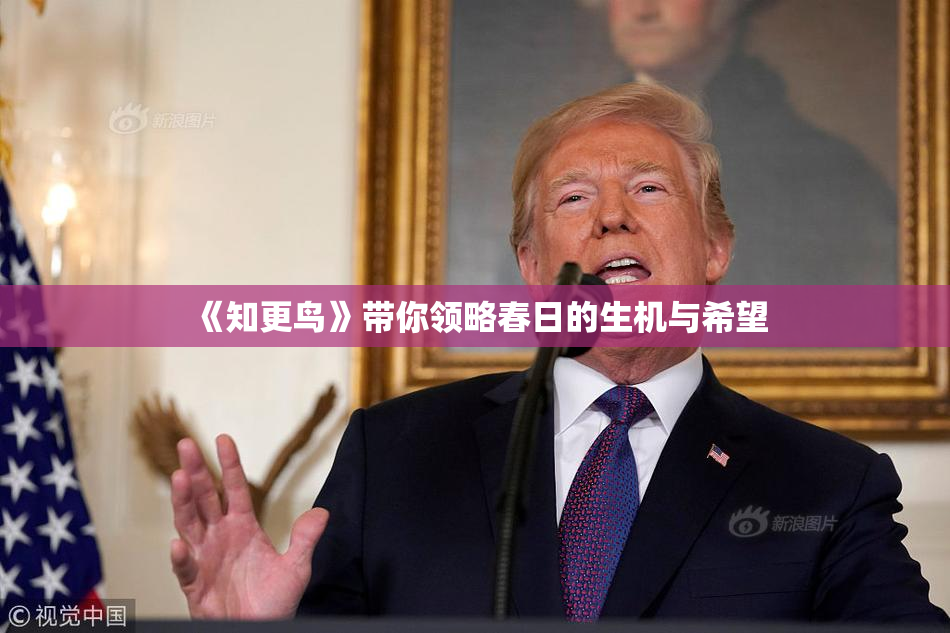 《知更鸟》带你领略春日的生机与希望