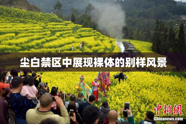 尘白禁区中展现裸体的别样风景
