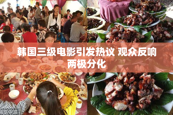 韩国三级电影引发热议 观众反响两极分化