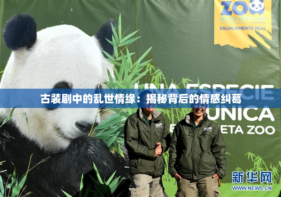 古装剧中的乱世情缘：揭秘背后的情感纠葛