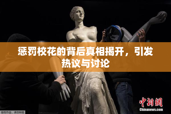 惩罚校花的背后真相揭开，引发热议与讨论