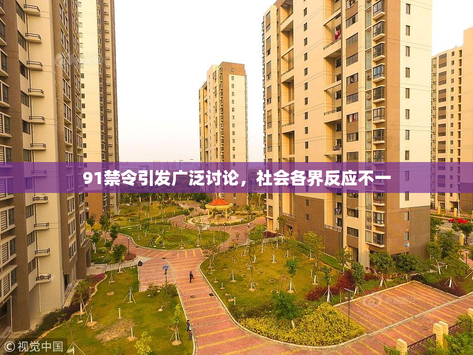 91禁令引发广泛讨论，社会各界反应不一