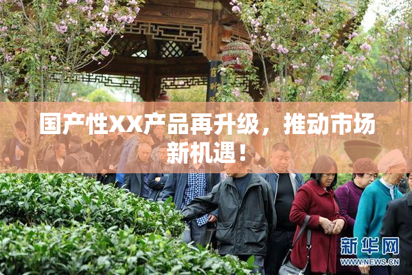 国产性XX产品再升级，推动市场新机遇！