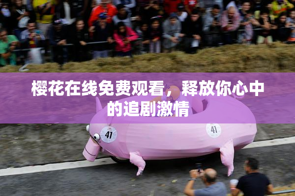 樱花在线免费观看，释放你心中的追剧激情