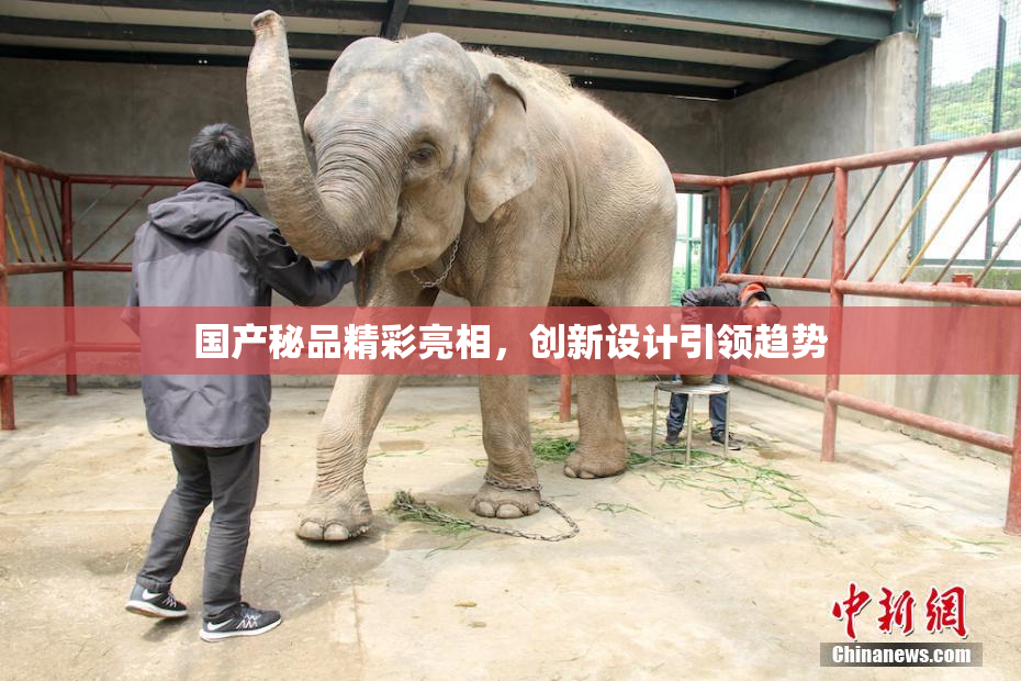 国产秘品精彩亮相，创新设计引领趋势