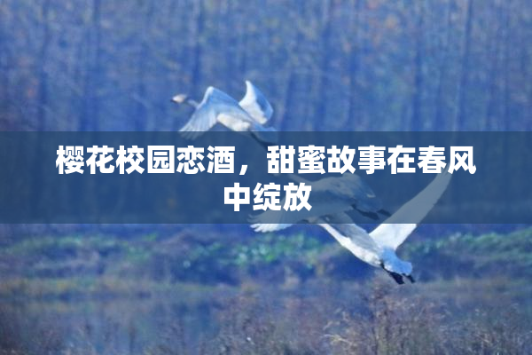 樱花校园恋酒，甜蜜故事在春风中绽放