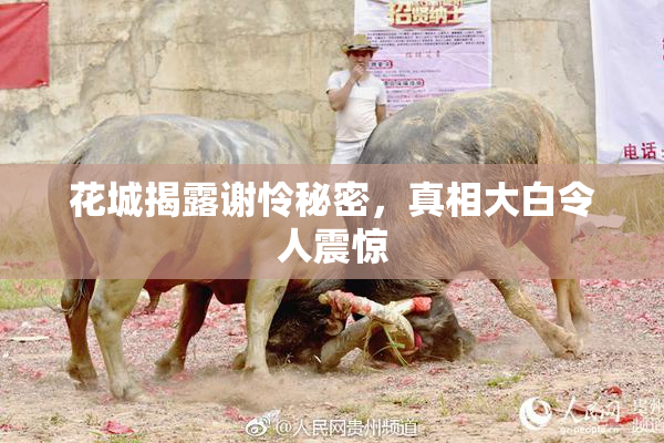 花城揭露谢怜秘密，真相大白令人震惊