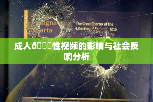 成人🔞性视频的影响与社会反响分析