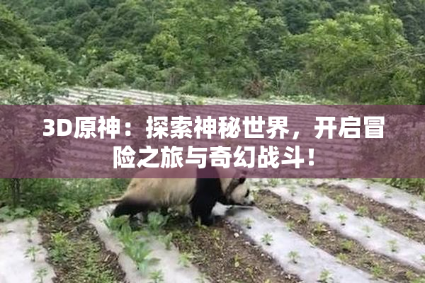 3D原神：探索神秘世界，开启冒险之旅与奇幻战斗！