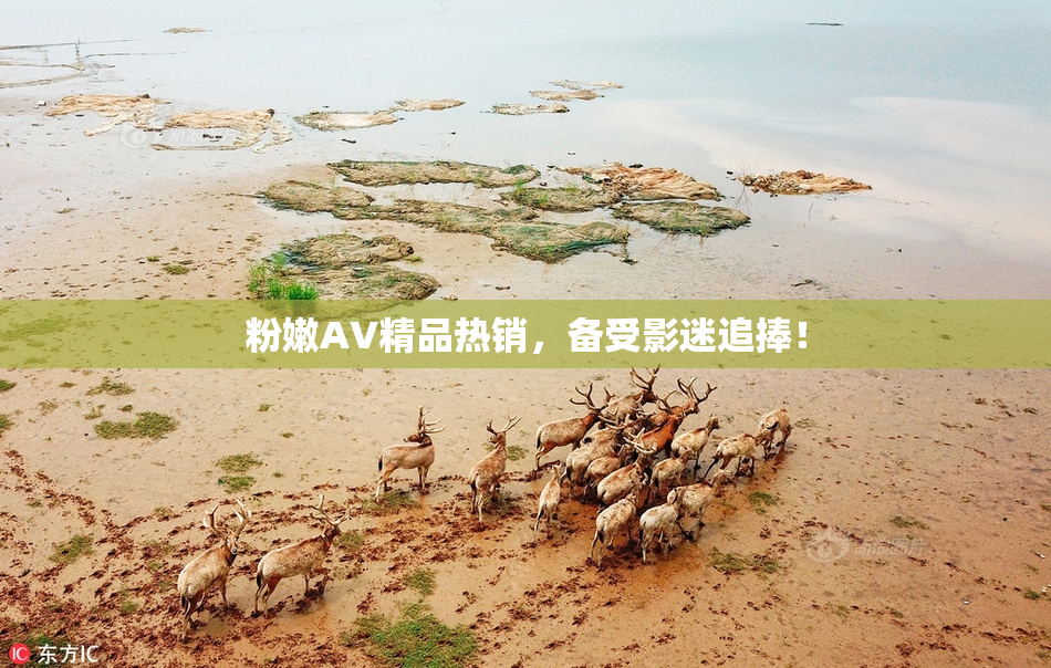 粉嫩AV精品热销，备受影迷追捧！