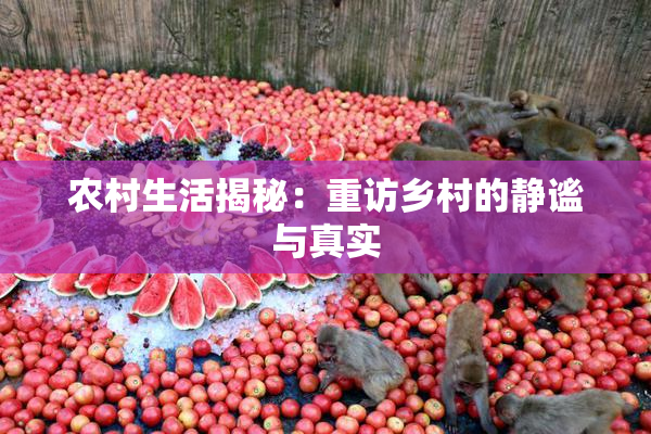 农村生活揭秘：重访乡村的静谧与真实