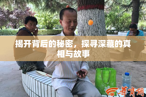 揭开背后的秘密，探寻深藏的真相与故事