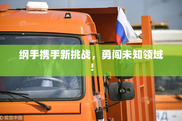 纲手携手新挑战，勇闯未知领域！
