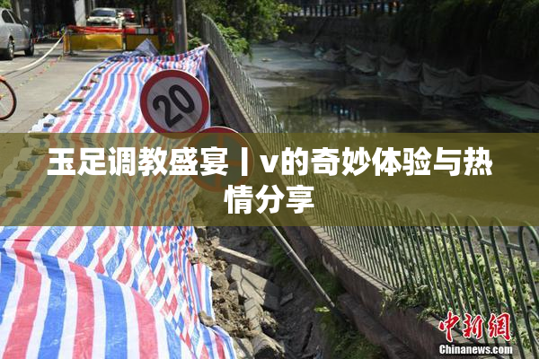 玉足调教盛宴丨v的奇妙体验与热情分享