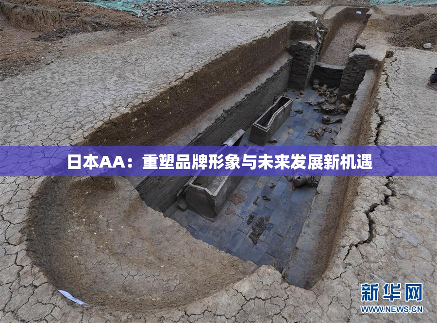 日本AA：重塑品牌形象与未来发展新机遇