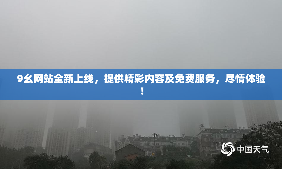 9幺网站全新上线，提供精彩内容及免费服务，尽情体验！